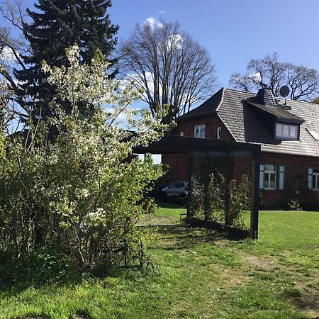 Ferienwohnung Zum Schwalbennest Wredenhagen Exterior foto